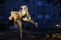 gisele rosiere 8 * 4272 x 2848 * (3.61MB)